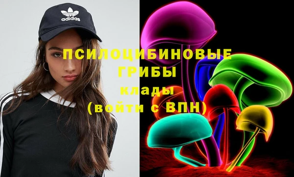 стафф Алексин