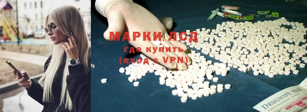 стафф Алексин